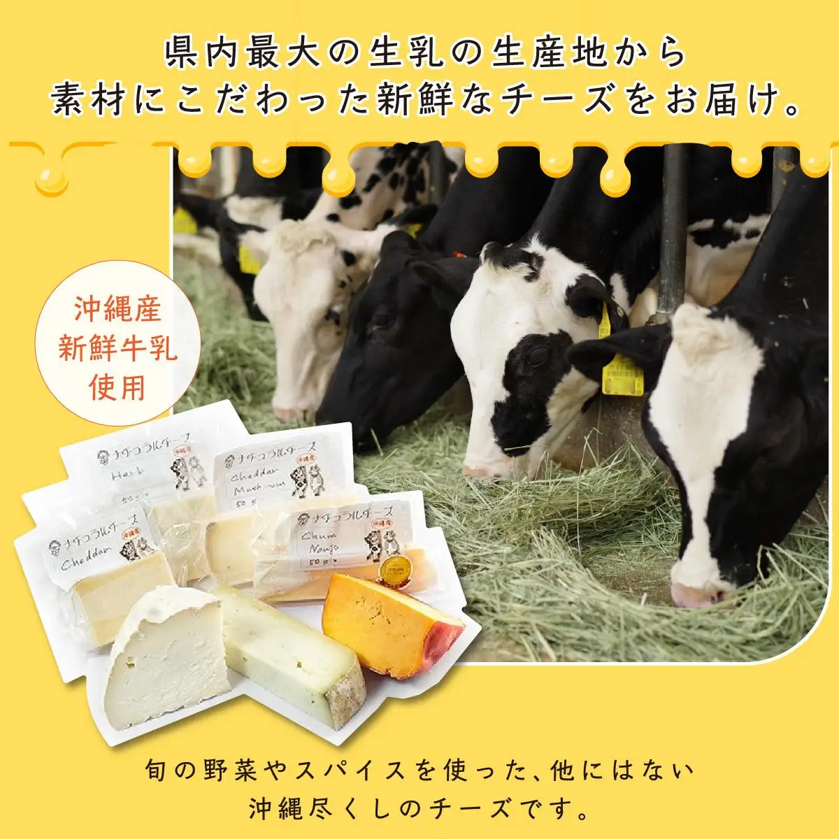 チーズ 詰め合わせ ぬちぐすいセット 
