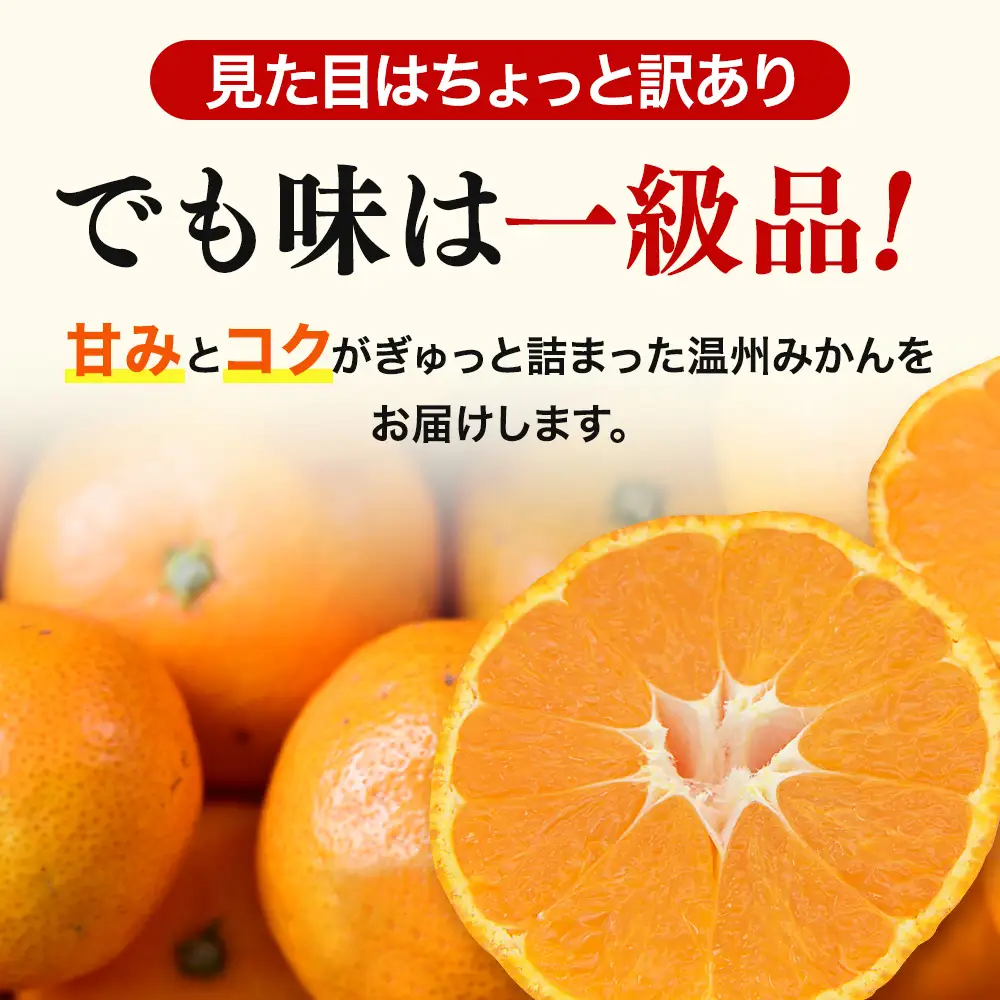  【先行予約】訳あり品 温州みかん 「おてんば娘」5kg(早生・中生・晩稲)【S～2Lサイズおまかせ】【2026年10月中旬～2027年2月下旬頃までに順次発送】＜味好農園＞/みかん 蜜柑 柑橘 温州みかん 訳あり 果物 フルーツ 甘い 果汁溢れる【agy004-c-5】