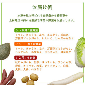 京都府産 季節の野菜セット 5～7品目【 綾部 京都 野菜セット 野菜 旬 野菜詰め合わせ 産地直送 食べ比べ 国産 季節の野菜 詰め合わせ セット 】