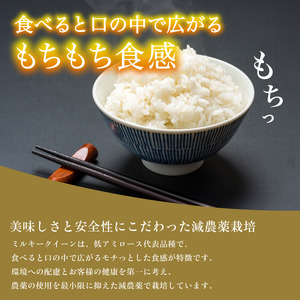ミルキークイーン 5kg 減農薬ミルキークイーン 精米