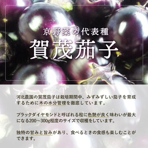 【2026年6月発送】賀茂茄子 6個 1.5kg 【 国産 京野菜 旬 季節の野菜 季節限定 野菜 茄子 なす ナス かもなす 賀茂なす 丹州 農家直送 産地直送 京ブランド野菜 綾部 京都 】 