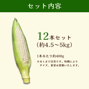 極甘 ホワイトコーン 12本 | とうもろこし コーン
