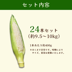 極甘 ホワイトコーン 24本 | とうもろこし コーン