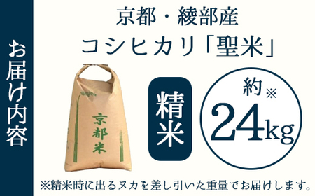 業務用 京都府産コシヒカリ 聖米 白米24kg | 米 お米 こしひかり 白米 精米