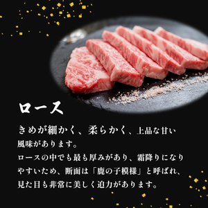 焼肉 ロース 500g 牛肉 京都姫牛
