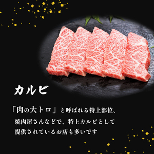 焼肉 カルビ 500g 京都姫牛 和牛