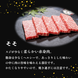 焼肉 モモ 500g 京都姫牛 和牛