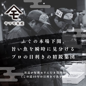 ふぐ刺身 満喫セット 4人前 ふぐ FR