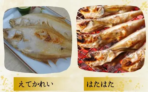 干物 えてかれい、はたはたセット エテカレイ6枚 ハタハタ8尾 08-01