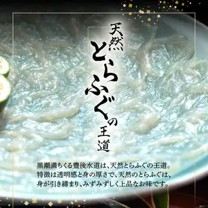 豊後水道 【特天然】とらふぐコース ペアお食事券 P01057