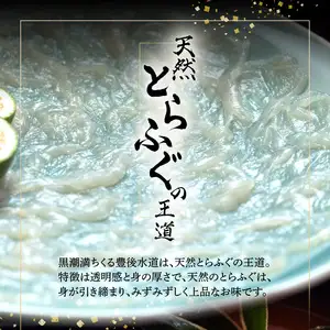 豊後水道 【天然】とらふぐコース ペアお食事券 P01058