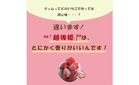 いちご いちごジャム作り 体験キット イチゴ イチゴジャム