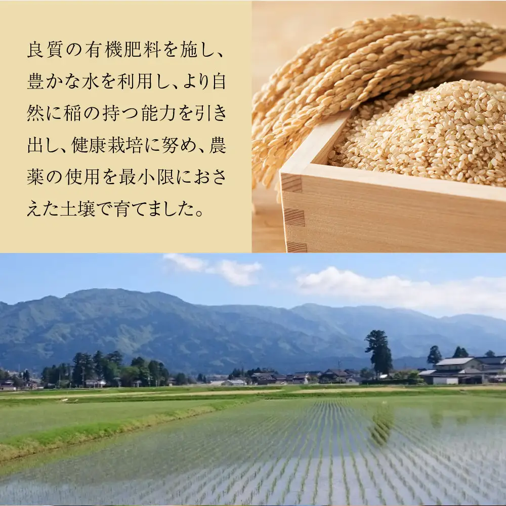 【令和7年産】富山県産こしひかり　育（はぐくみ）玄米３０kg《南砺の逸品》