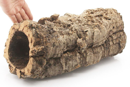 形状お任せ 筒型コルク Mサイズ 長さ30cm エアプランツ 着生植物 [株式会社チャーム charm コルク樹皮 バックパネル ビバリウム 養生植物]
