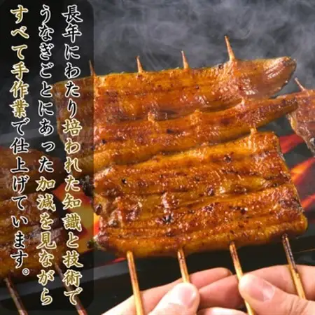 特撰浜名湖うなぎ蒲焼140g×2尾_魚介・海産物 うなぎ  ウナギ 鰻_【配送不可地域：離島】【1497488】