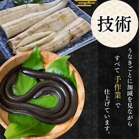 【蒲焼き用タレ付き】浜名湖うなぎ白焼き140g×5尾(冷凍・真空パック)_うなぎ 鰻 白焼き 浜名湖産 冷凍 真空パック_【配送不可地域：離島】【1497507】