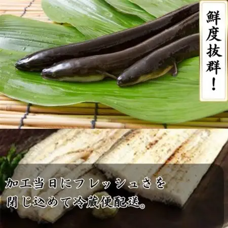【焼きたてを即日配送】浜名湖うなぎ白焼き140g×3尾(冷蔵便)_うなぎ 鰻 白焼き 浜名湖産 焼きたて 即日配送_【配送不可地域：離島】【1497525】