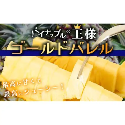 【先行予約】最高級パイン ゴールドバレル 2～3玉セット TD-1-1