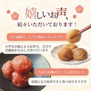 梅干し 紀州南高梅 塩分約8％ はちみつ梅干し 1kg 大粒 【mae001-2】 