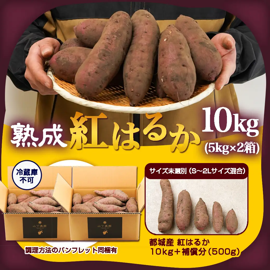 先行受付!【11月お届け】【農家直送】山下農園　熟成紅はるか 10kg〔AA-I705-11〕_(都城市) 都城産 紅はるか S～2Lサイズ混合 山下農園 さつまいも兄弟 長期熟成 甘い