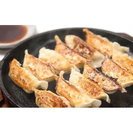 ブランド地鶏「妻地鶏」ぎょうざ詰合せ45　120個（12個×10パック） 小分け＜8-23a＞