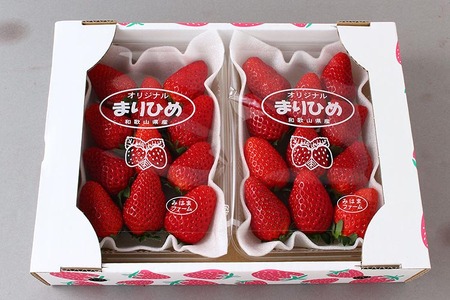 【先行予約】【ご家庭用（簡易包装）】和歌山県産 まりひめ 1箱 約600g（2パック入り、1パックあたり約300g）【2027年2月お届け】