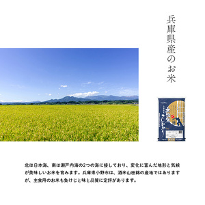 無洗米 コシヒカリ 10kg ( 5kg ×2袋) 小分け 米 お米 精米 白米 銘柄米 ブランド米 10キロ 産地直送 兵庫県産 兵庫 兵庫県 小野市