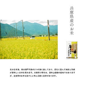 無洗米 キヌヒカリ 10kg ( 5kg ×2袋) 小分け 米 お米 精米 白米 銘柄米 ブランド米 10キロ 産地直送 兵庫県産 兵庫 兵庫県 小野市