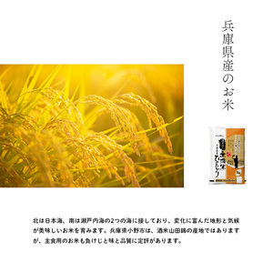 無洗米 ヒノヒカリ 10kg ( 5kg ×2袋) 小分け 米 お米 精米 白米 銘柄米 ブランド米 10キロ 産地直送 兵庫県産 兵庫 兵庫県 小野市