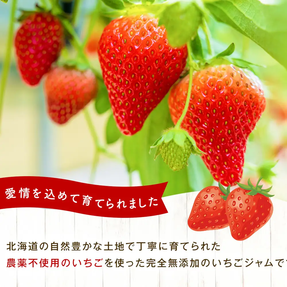 いちごの無添加ジャム（農薬不使用栽培・砂糖不使用）160g×3瓶