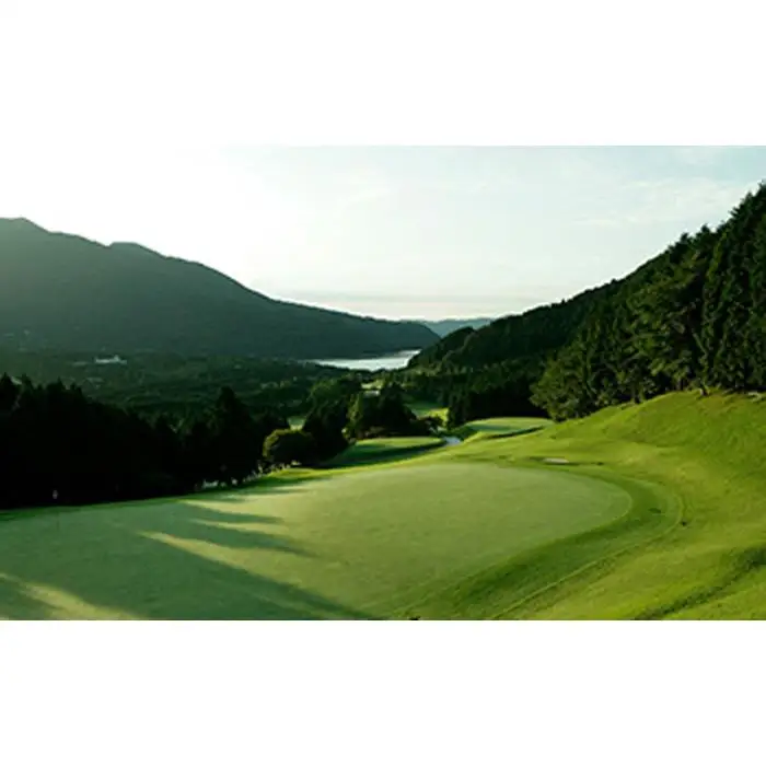 箱根湖畔ゴルフコース　平日1ラウンドセルフプレー券(4枚)［ゴルフ］