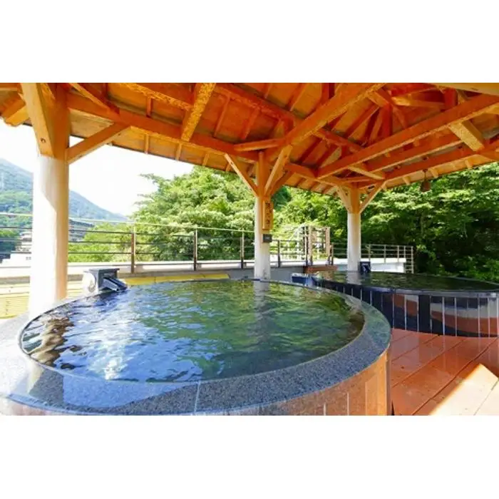 【箱根湯本温泉　天成園】日帰りペア招待券［チケットチケット］