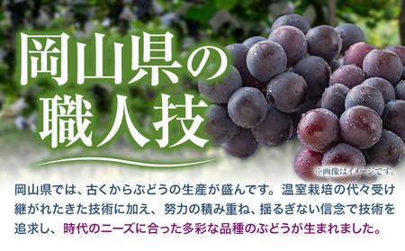 ニューピオーネ 2房【配送不可地域あり】