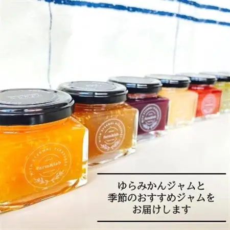 【無添加】和歌山産 季節のジャムセット (ゆらみかんジャム+季節のおすすめジャム) 12個入【1493776】