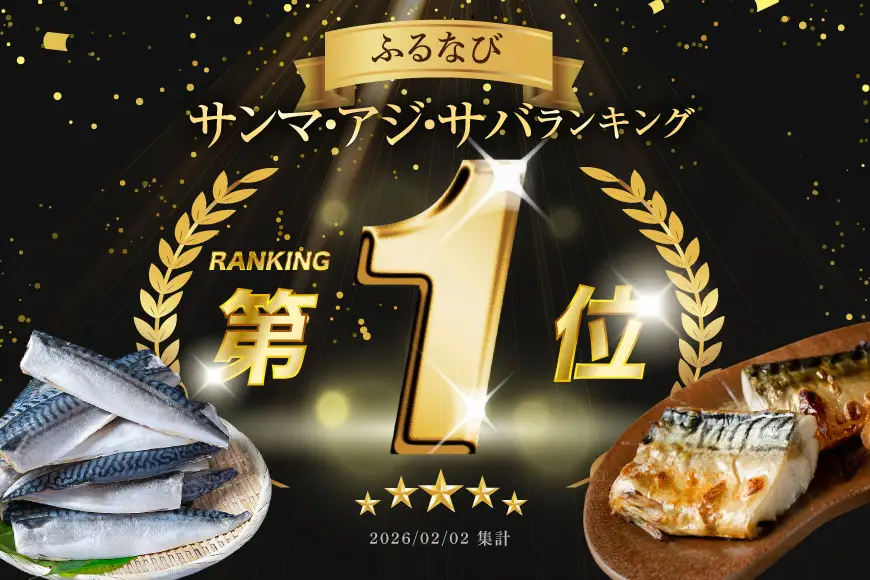 訳あり 塩サバ 3kg [宮城県 気仙沼市 20564146] サバ