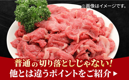 【12回定期便】佐賀牛 赤身とバラ肉の切り落とし 250g×2 黒毛和牛切り落とし 切り落とし[FCY016]