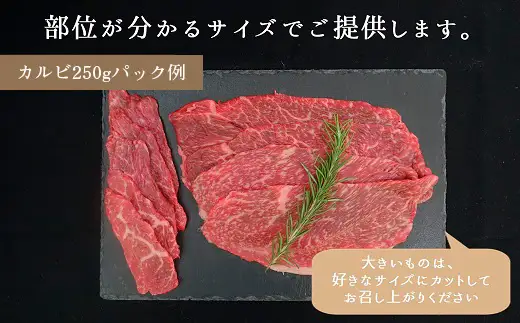 松川牧場のこだわり牛肉　BBQ・焼肉セット 500g ロース部位から1パック カルビ部位から1パックお届け 松川牧場 No.031