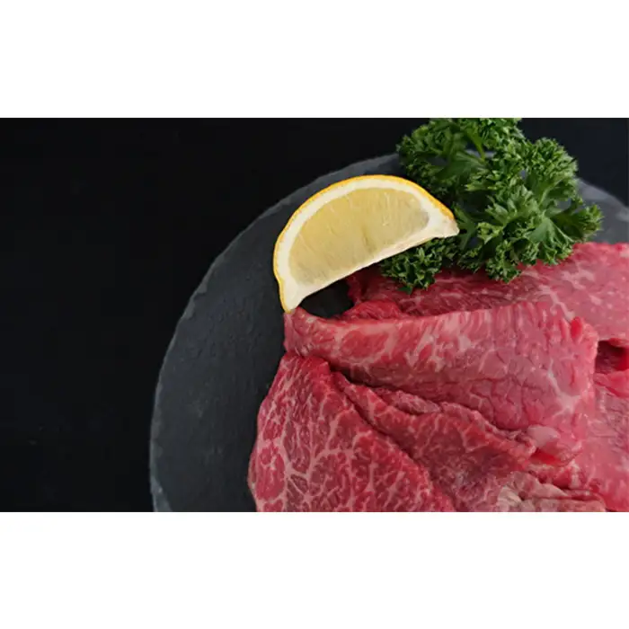 松川牧場のこだわり牛肉 バラエティ定期便 隔月計5回 〈限定10組/種類おまかせ〉 No.216