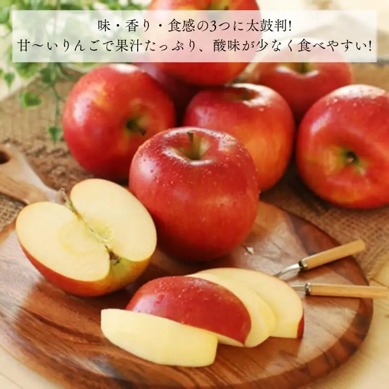 MS09 りんご シナノスイート（長野県産秀品）約5kg / 2026年10月中旬～11月中旬頃 配送予定 // 長野県 南信州 贈答 りんご リンゴ 林檎 シナノスイート