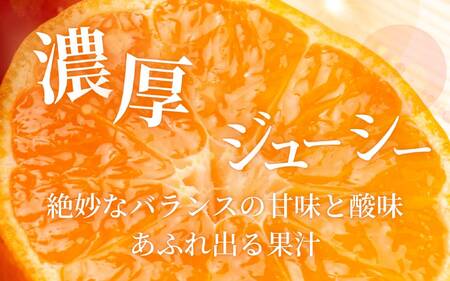 ＼光センサー選別／極 有田みかんプレミアム 約2kg【選りすぐりの上位20％をお届け】2S～Lサイズ 有機質肥料100% ※2026年11月～2027年1月に順次発送予定 ※北海道・沖縄・離島への配送不可 / みかん みかん みかん フルーツ 【nuk154G】