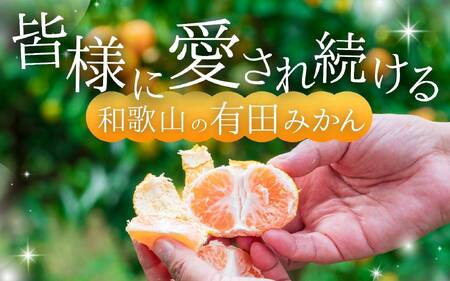 ＼光センサー選別／極 有田みかんプレミアム 約5kg【選りすぐりの上位20％をお届け】2S～Lサイズ 有機質肥料100% ※2026年11月～2027年1月に順次発送予定 ※北海道・沖縄・離島への配送不可 オレンジ 有田みかん みかん みかん みかん フルーツ【nuk155G】