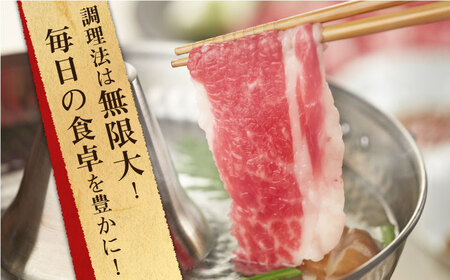 長崎和牛 出島ばらいろ 切り落とし（モモ、バラ、カタのいずれか）800g(400g×2)【合同会社肉のマルシン】[QBN004]