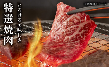 長崎和牛 出島ばらいろ 特選焼肉 セット （ロース カルビ カタロース モモ のいずれか2種類）約300g×2【合同会社肉のマルシン】[QBN018]