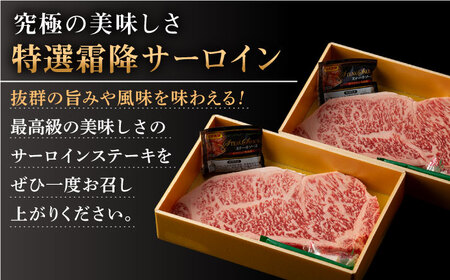 【全6回定期便】長崎和牛 出島ばらいろ  サーロイン ステーキ約500g（約250g×2枚）[QBN020]