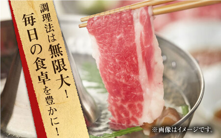 【全6回定期便】長崎和牛 切り落とし 約400g （カタ、モモ、バラ、ロース、スネのいずれか）【合同会社肉のマルシン】[QBN047]