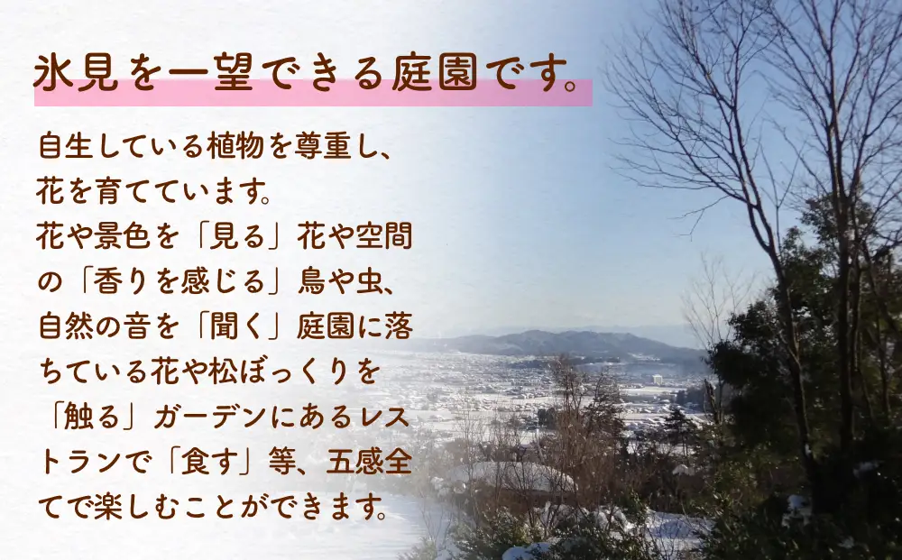 氷見あいやまガーデン入場券ペアチケット（大人2枚） 富山県 氷見市 入場券 ペア 花 ガーデン