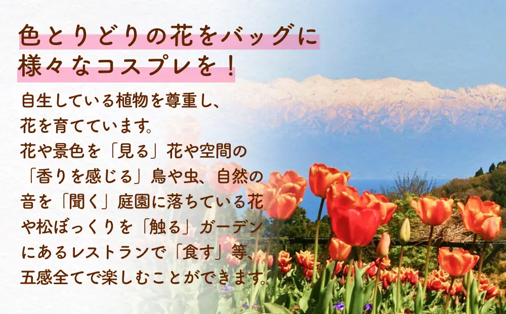 あいやまガーデン入場券+コスプレ控室つき（大人2枚） 富山県 氷見市 入場券 ペア 花 ガーデン コス 体験