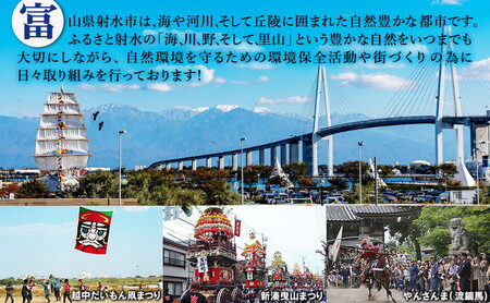 富山県射水市　応援寄附（返礼品なし） 10,000円
