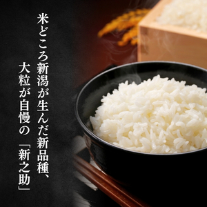 令和7年産 新潟県上越産 特別栽培米 新之助  5kg 5キロ 精米 しんのすけ おおた農場 上越市