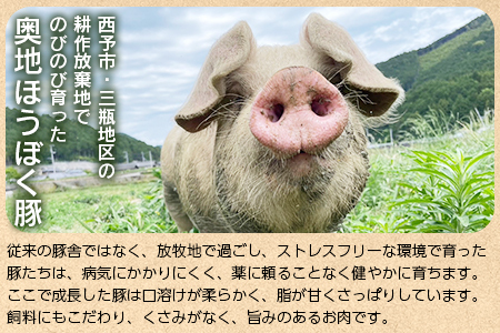＜【こだわりの無塩せき】奥地ほうぼく豚を使ったcrucru4種 詰め合わせセット＞ぶた お肉 加工品 おつまみ おかず ウインナー フランク ハム ベーコン ロース スライス 詰合せ BBQ アウトドア キャンプ 愛媛県 西予市【冷凍】『4か月以内に順次出荷予定』MNP0004